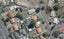 15 Ross Crescent, Fairfield, Hamilton - Carousel 1