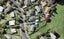 16B Silverton Avenue, Wai o Taiki Bay, Auckland - Carousel 1
