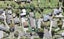1/41 Mason Street, New Lynn, Auckland - Carousel 1