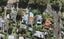 1/15 Windmill Road, Mount Eden, Auckland - Carousel 1