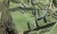 145A Vaughans Road, Albany - Carousel 1