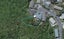 15 Baffin Grove, Kingston, Wellington - Carousel 1