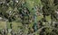 394B Redoubt Road, Totara Park, Auckland - Carousel 1