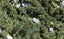198 Konini Road, Titirangi, Auckland - Carousel 1