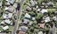 18D Lantana Road, Green Bay, Auckland - Carousel 1