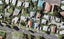 74B Point England Road, Point England, Auckland - Carousel 1