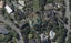 4 Panorama Road, Clifton, Christchurch - Carousel 1