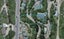 373 Ohiro Road, BROOKLYN 6021, WELLINGTON - Carousel 1