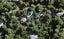 82 Park Road, Titirangi, Auckland - Carousel 1