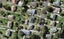 37B Erima Avenue, Point England, Auckland - Carousel 1