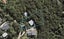 16 Scotts Terrace, Onetangi, Waiheke Island - Carousel 1