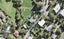 12 Deborah Place, Albany - Carousel 1