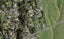 90 Ranfurly Road, Alfriston, Auckland - Carousel 1