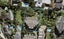 1E/448 Remuera Road, Remuera, Auckland - Carousel 1