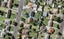10F Erima Avenue, Point England, Auckland - Carousel 1