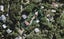 45 Okoka Road, Omiha, Waiheke Island - Carousel 1