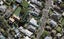 57B St Vincent Avenue, Remuera, Auckland - Carousel 1