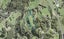 51 Awanohi Road, Albany - Carousel 1