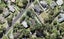 176 Cliff View Drive, Green Bay, Auckland - Carousel 1