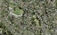 9A Tuakana Street, Point England, Auckland - Carousel 1