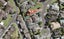 2/11 Pat O'Connor Place, Manurewa, Auckland - Carousel 1