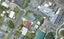32 Hayes Avenue, Gate Pa, Tauranga - Carousel 1