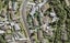 13 Serwayne Place, Sunnyvale, Auckland - Carousel 1