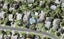 3/53 Drake Street, Howick, Auckland - Carousel 1