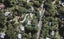 24 Palm Road, Palm Beach, Waiheke Island - Carousel 1