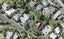106 Castor Bay Road, Castor Bay, Auckland - Carousel 1