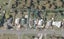38 Mangakahia Road, Whangarei - Carousel 1