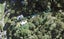 2 Fairhaven Walk, Wade Heads, Whangaparaoa - Carousel 1