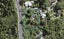 666 South Titirangi Road, Titirangi, Auckland - Carousel 1
