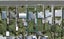 147 Dome Street, Newfield, Invercargill - Carousel 1