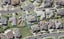23 Glen Bay Close, Pinehill, Auckland - Carousel 1