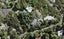 6 Wood Bay Road, Titirangi, Auckland - Carousel 1