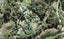 14 Hobbs Road, Matakatia, Whangaparaoa - Carousel 1