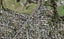 1664D Great North Road, Avondale, Auckland - Carousel 1