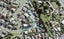 10 Jomard Terrace, Northcross, Auckland - Carousel 1
