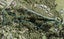 122 Wade River Road, Wade Heads, Whangaparaoa - Carousel 1