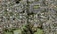 62A Terry Street, Blockhouse Bay, Auckland - Carousel 1