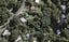 13 Palm Road, Palm Beach, Waiheke Island - Carousel 1