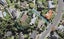 191 Chelsea View Drive, Chatswood, Auckland - Carousel 1