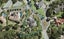 62 Staincross Street, Green Bay, Auckland - Carousel 1