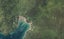 0 West Bay Lochmara, Lochmara Bay, Marlborough Sounds - Carousel 1