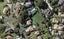 52D Tautari Street, Orakei, Auckland - Carousel 1