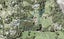 143 Ti Point Road, Ti Point, Leigh - Carousel 1