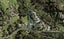 414 REDOUBT RD - Carousel 1