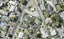 36 Newhaven Terrace, Mairangi Bay, Auckland - Carousel 1