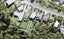 31 Roberts Road, Matakatia, Whangaparaoa - Carousel 1